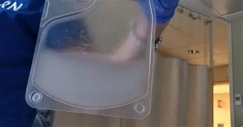 Redditor публикует сумку с белыми веществами, которые вылечат ее рак