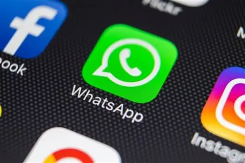 WhatsApp прекращает официальную поддержку злополучного Windows Phone от Microsoft
