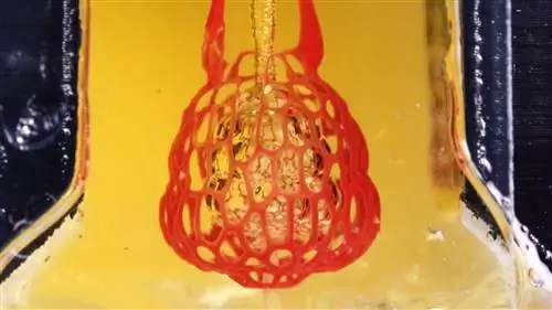 Первый в мире напечатанный на 3D-принтере орган дыхания может помочь положить конец нехватке органов