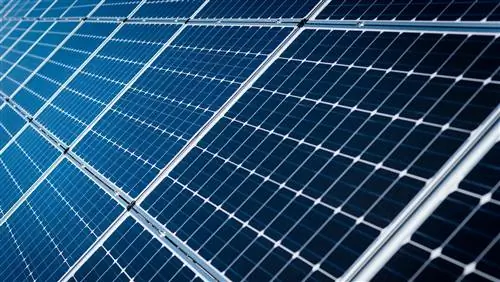 ETree': в Европе посажено первое солнечное дерево