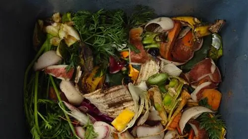 Это приложение хочет, чтобы продукты не выбрасывались в супермаркетах