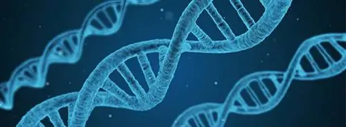 Неделя науки