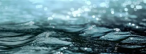 200 000 новых вирусов обнаружены в океанских водах