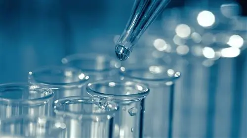 Чтобы максимизировать ценность тестирования, начните со стратегии