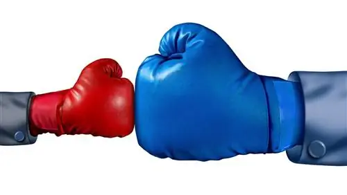 Как Давиду каждый раз побеждать Голиафа с помощью цифрового маркетинга