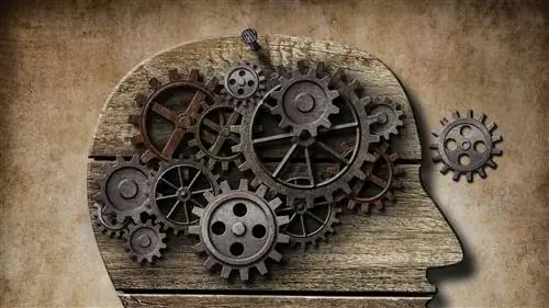 5 дополнительных мозговых триггеров для увеличения конверсий на вашем веб-сайте или целевой странице