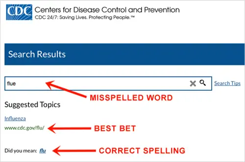 Страница результатов поиска Центра контроля заболеваний по слову «грипп» с ошибкой