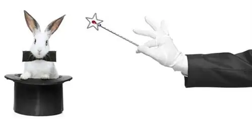 Три трюка, которые один сайт использовал для увеличения числа подписчиков на 150% за месяц