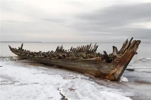 Кораблекрушение на пляже-СС-1920