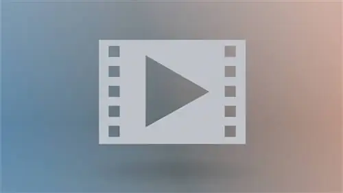 Ритейлеры, использующие видеоролики о продуктах, сообщают о гораздо более высоком AOV и коэффициенте конверсии