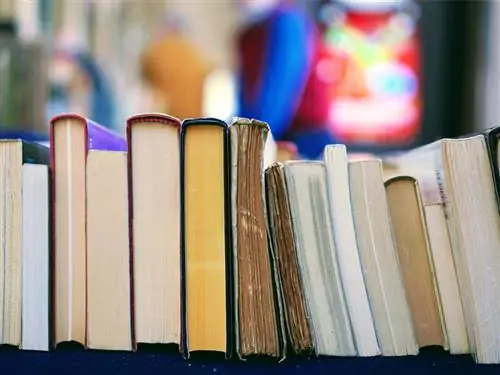 Прорывные повествовательные книги Minnium On Edge 800x