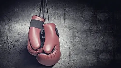 Как придать контент-маркетингу цель & Punch