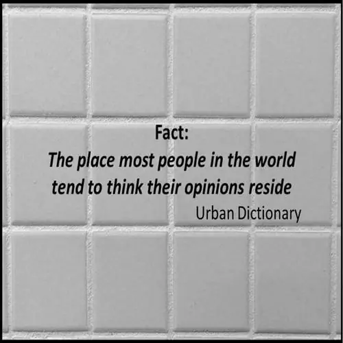 fact_urban_dictionary800_800 fact_urban_dictionary800_800