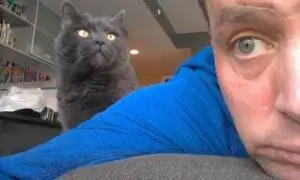 Питер Шенкман 300x180