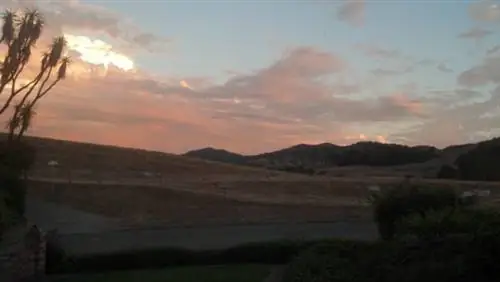 взгляд Мишель