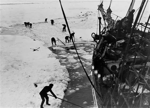 Скоро стартует специальная антарктическая экспедиция