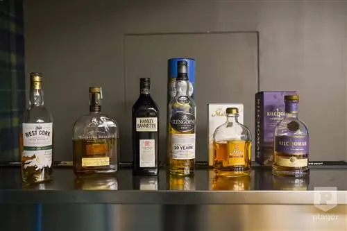 Так называемый рабочий день или дегустация виски для редакции Player