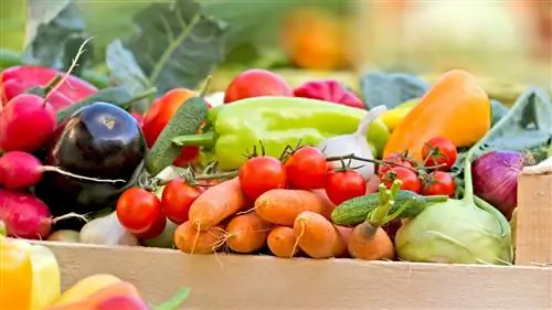 Вот почему органические продукты стоят дороже