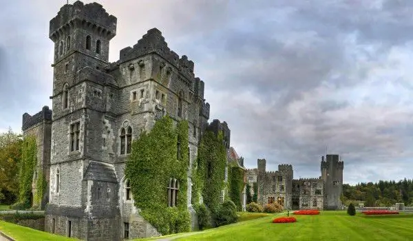 Плющ - волшебное растение, исполняющее желания