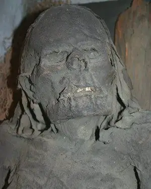 Они обнаружили самую старую опухоль в мире - это неандерталец