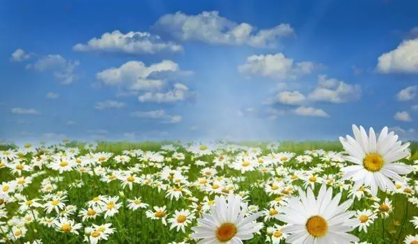 Сказка времен года