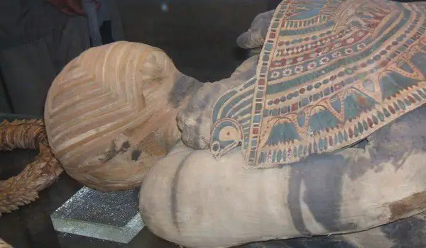 Лицо египетской жрицы было обнаружено 3000 лет спустя