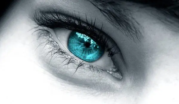 Зеленоглазые люди упрямы, черноглазые - страстные