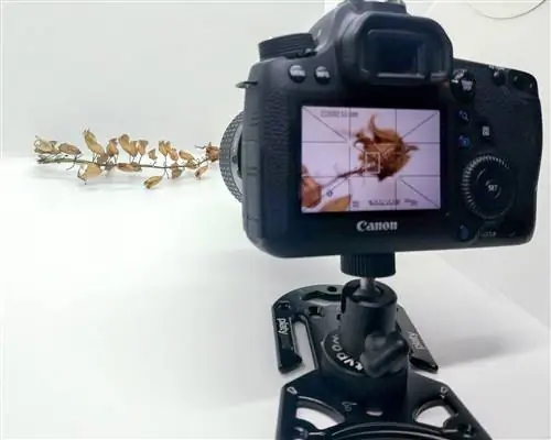 Настройка лайтбокса для макросов Platypod