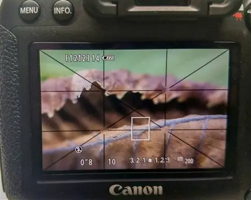 просмотр в реальном времени на задней панели камеры