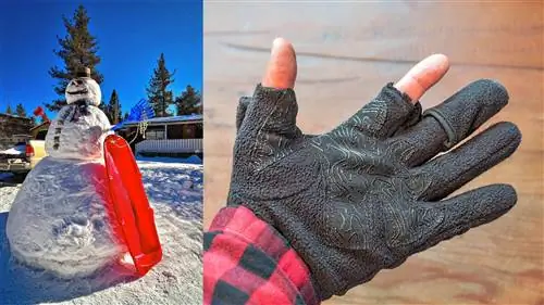 Можете ли вы купить хорошие теплые перчатки для фотосъемки менее чем за 20 долларов?