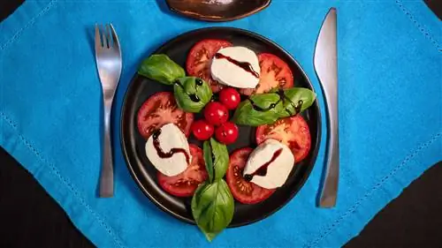 Обзор: ручка Platypod Handle для камеры видеоблогера