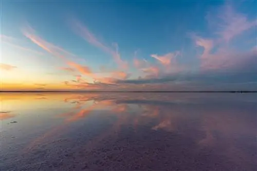 Невероятные отражения на озере Тиррелл