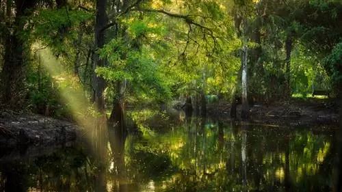 Понимание экспозиции: настройка диафрагмы