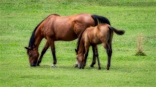 Добавляем глубину и креативность с помощью свечения