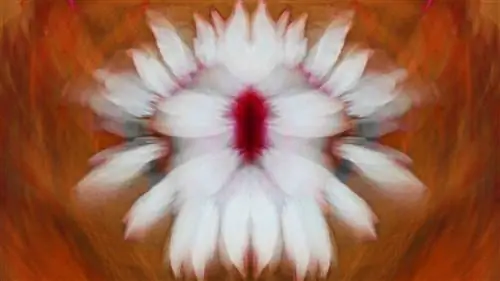 Абстрактное фотоарт с натуры, часть вторая