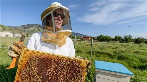 Советы по созданию портретов: подойдите ближе, чтобы получить эффектные портреты персонажей