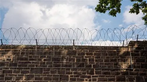 Переживая австралийские ужасы через призму объектива