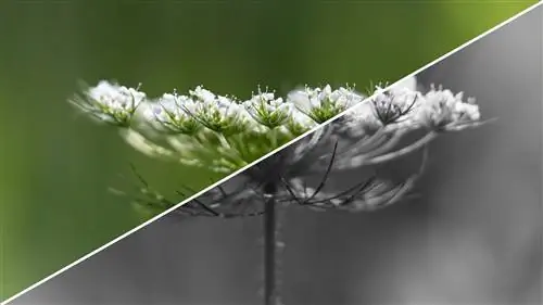 Получите идеальное изображение для печати с помощью Xpozer