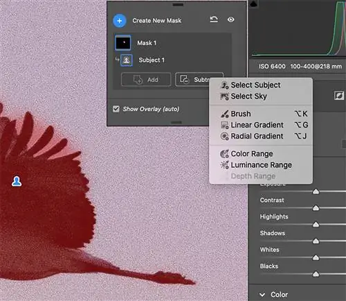 Параметры инструмента маскировки в Adobe Camera Raw