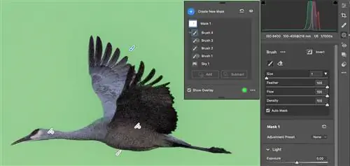 цвета маски показаны в ACR