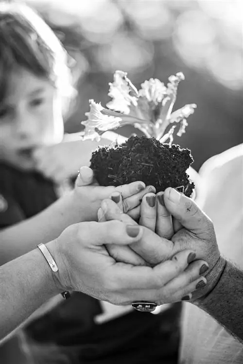 семейное фото руки держат растение