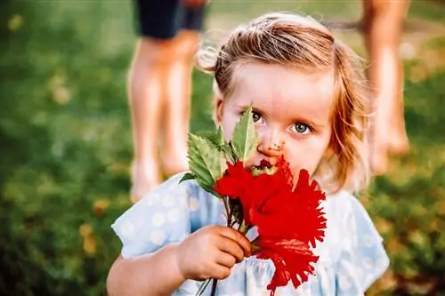 Image Image