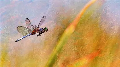 Способы использования художественных изображений и режимов наложения в Photoshop