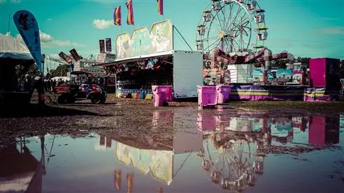 лужа на карнавале