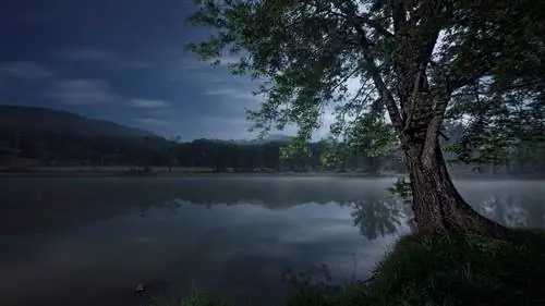 Решение проблем с ночной фотографией: три способа защитить объектив от росы