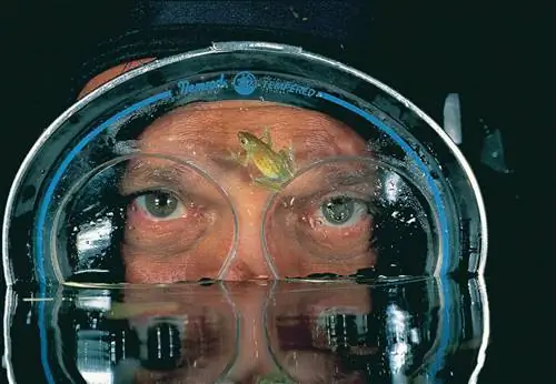 О фотографии: Дэвид Дубилет, 1946 - настоящее время.