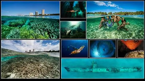 О фотографии: Дэвид Дубилет, 1946-настоящее время