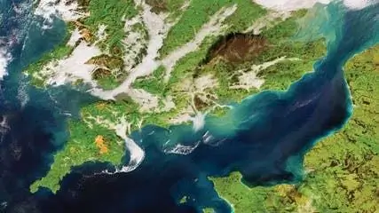 Генетические средневековые исследования: высшие классы