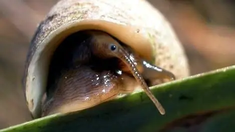 Экология: Детективная работа в солончаке