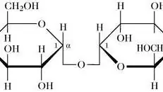 Физиология растений: сладкий сигнал